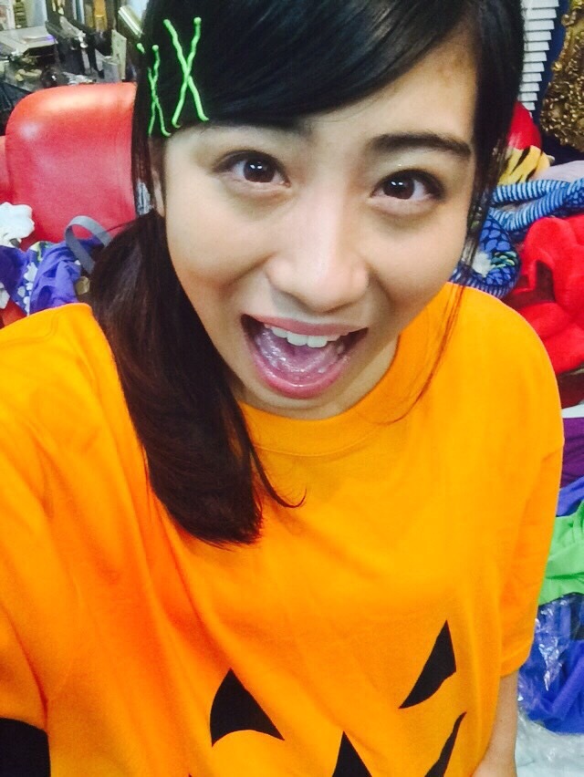 Syachihoko Staff : Team Syachihoko | しゃちほこスタッフ : チームしゃちほこ
