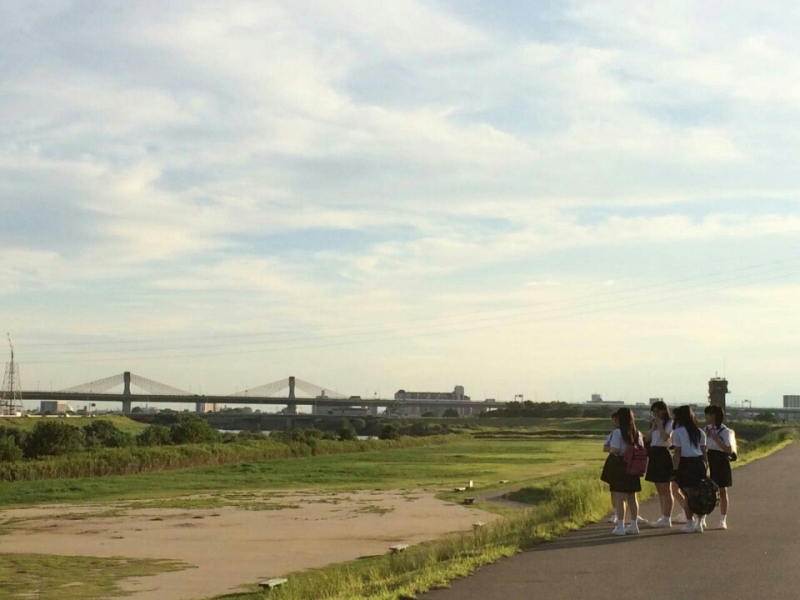 Syachihoko Staff : Team Syachihoko | しゃちほこスタッフ : チームしゃちほこ