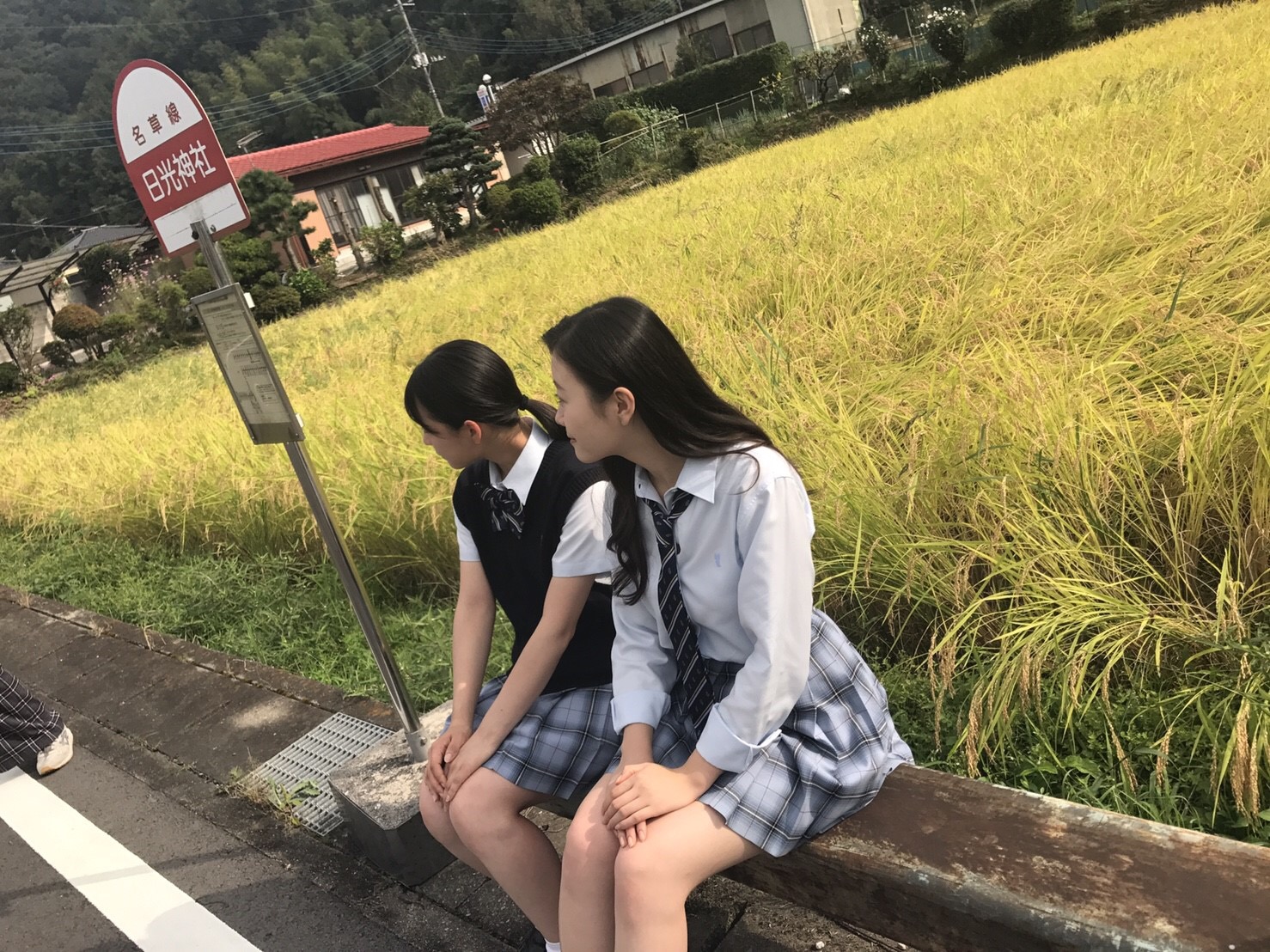 Yamamoto Mao : Hkt48 | 山本茉央 : hkt48