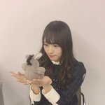 Watanabe Rika : Keyakizaka46 | 渡辺梨加 : 欅坂46