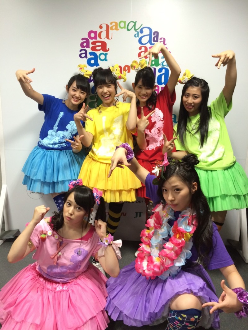 Syachihoko Staff : Team Syachihoko | しゃちほこスタッフ : チームしゃちほこ