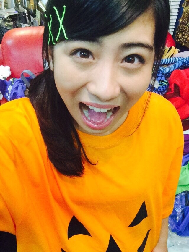 Syachihoko Staff : Team Syachihoko | しゃちほこスタッフ : チームしゃちほこ