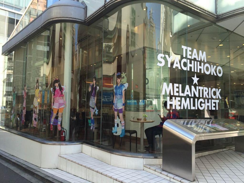 Syachihoko Staff : Team Syachihoko | しゃちほこスタッフ : チームしゃちほこ