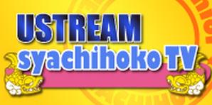 Syachihoko Staff : Team Syachihoko | しゃちほこスタッフ : チームしゃちほこ