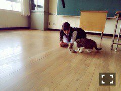 Nogizaka46 Twitter : Nogizaka46 | 乃木坂46_twitter : 乃木坂46