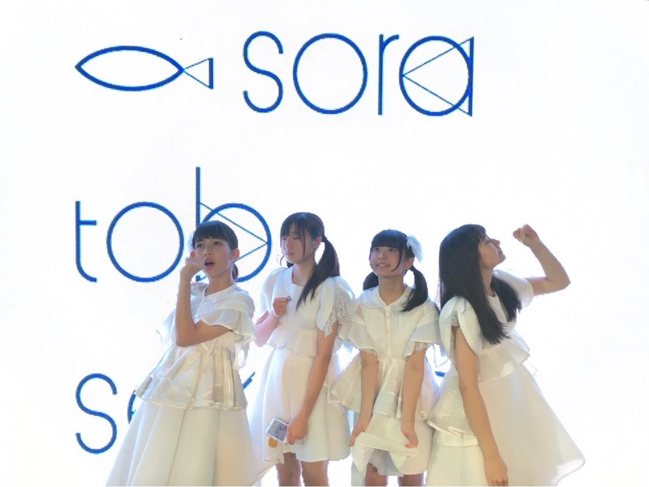 Sora Tob Sakana Official : Sora Tob Sakana | sora_tob_sakana_公式 : sora_tob_sakana