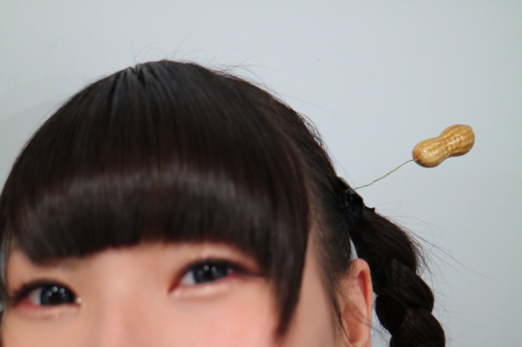 Fujisaki Ayane : Denpagumi.Inc | 藤咲彩音 : でんぱ組.inc