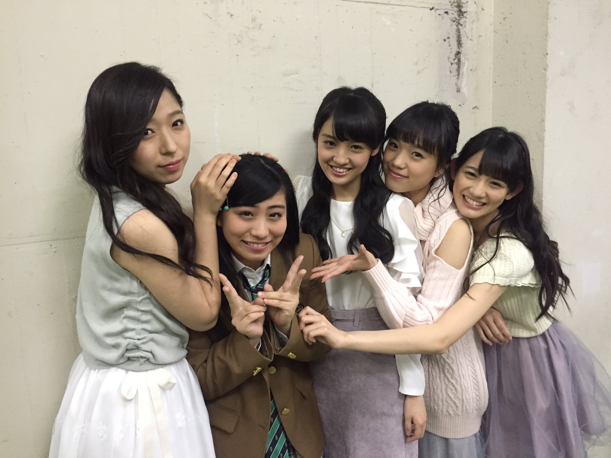 Syachihoko Staff : Team Syachihoko | しゃちほこスタッフ : チームしゃちほこ