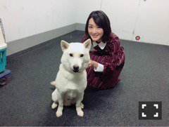 Nogizaka46 Twitter : Nogizaka46 | 乃木坂46_twitter : 乃木坂46