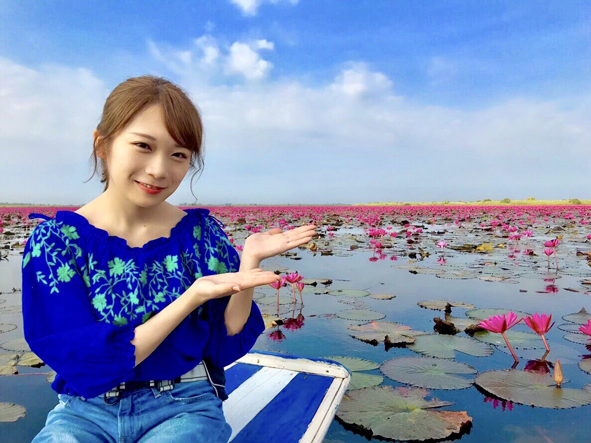 Nogizaka46 Twitter : Nogizaka46 | 乃木坂46_twitter : 乃木坂46