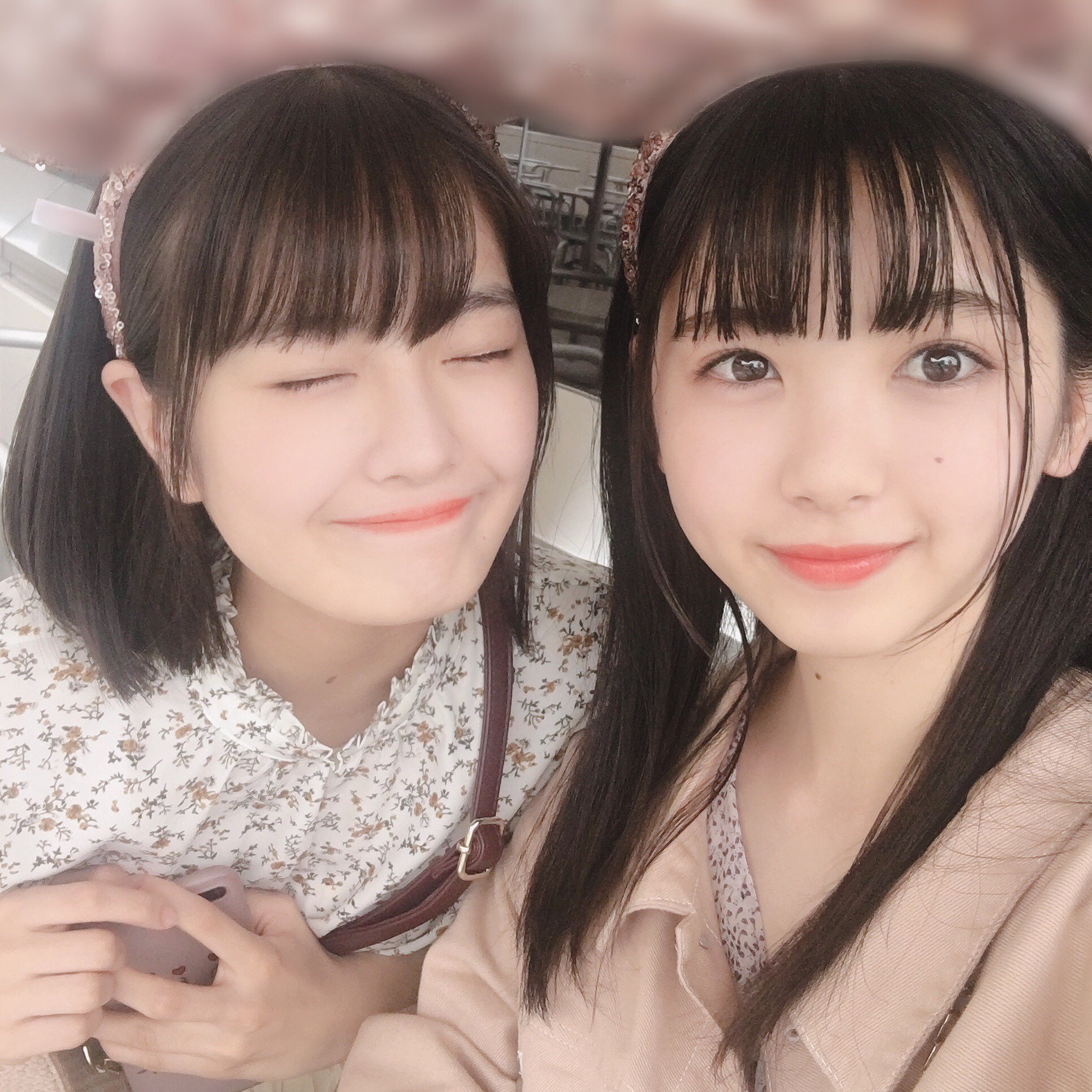 Nogizaka46 Twitter : Nogizaka46 | 乃木坂46_twitter : 乃木坂46