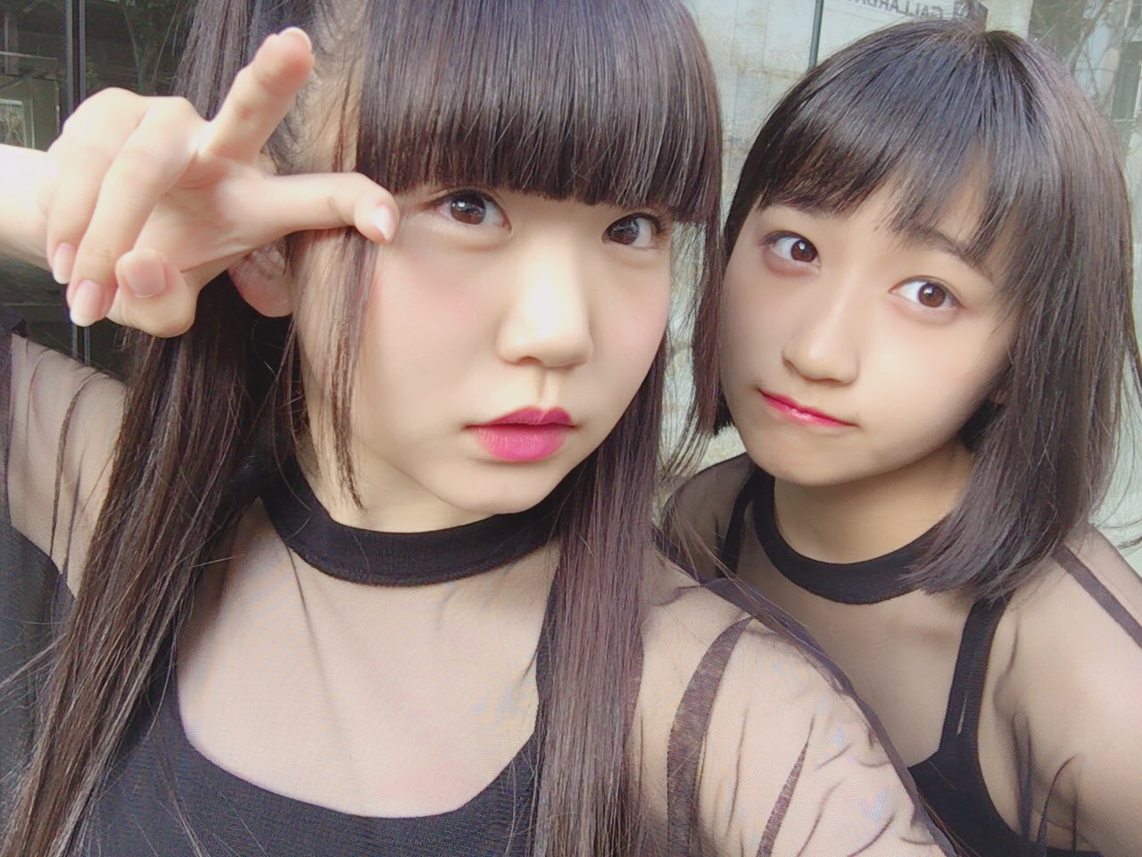 Yua : Predianna | 侑杏 : predianna