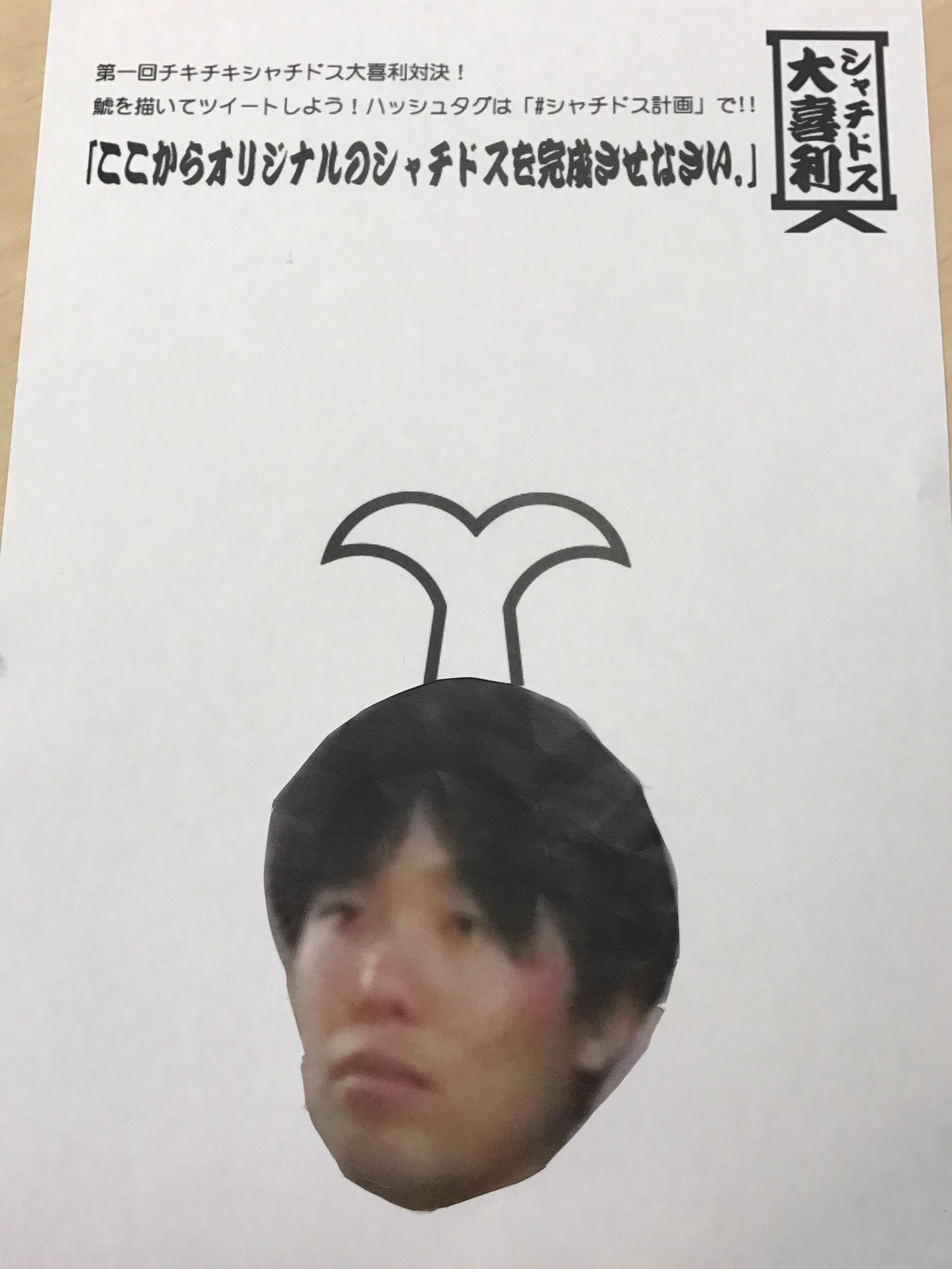 Syachihoko Staff : Team Syachihoko | しゃちほこスタッフ : チームしゃちほこ