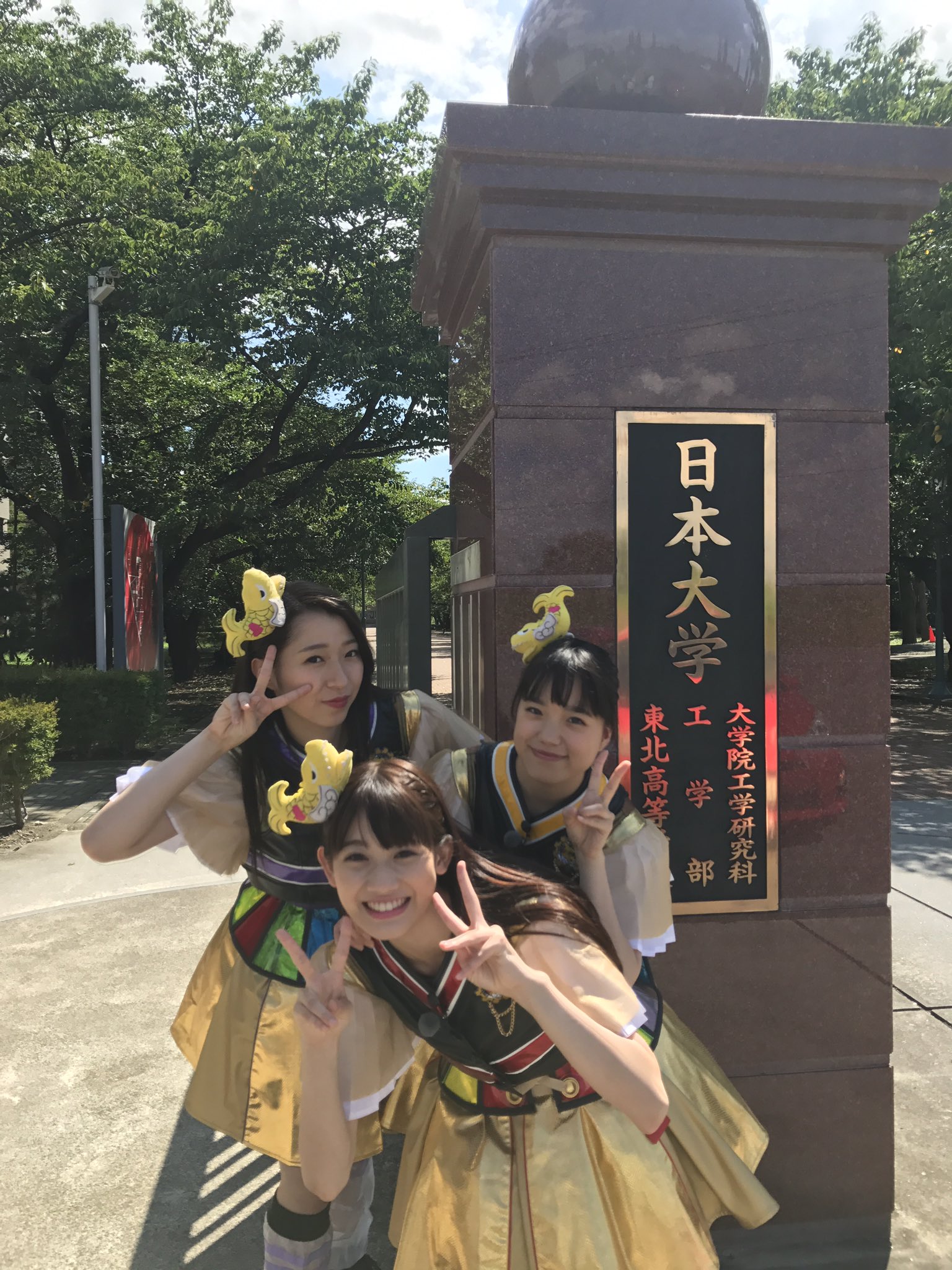 Syachihoko Staff : Team Syachihoko | しゃちほこスタッフ : チームしゃちほこ