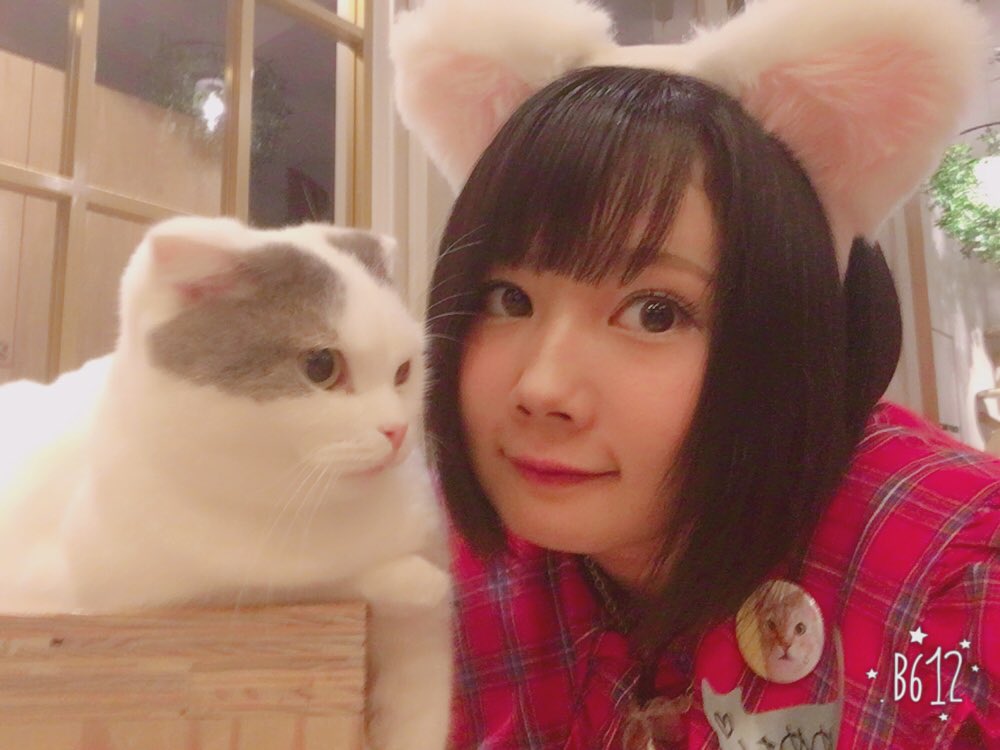 Nishikiori Megumi : Luce Twinkle Wink | 錦織めぐみ : luce_twinkle_wink☆