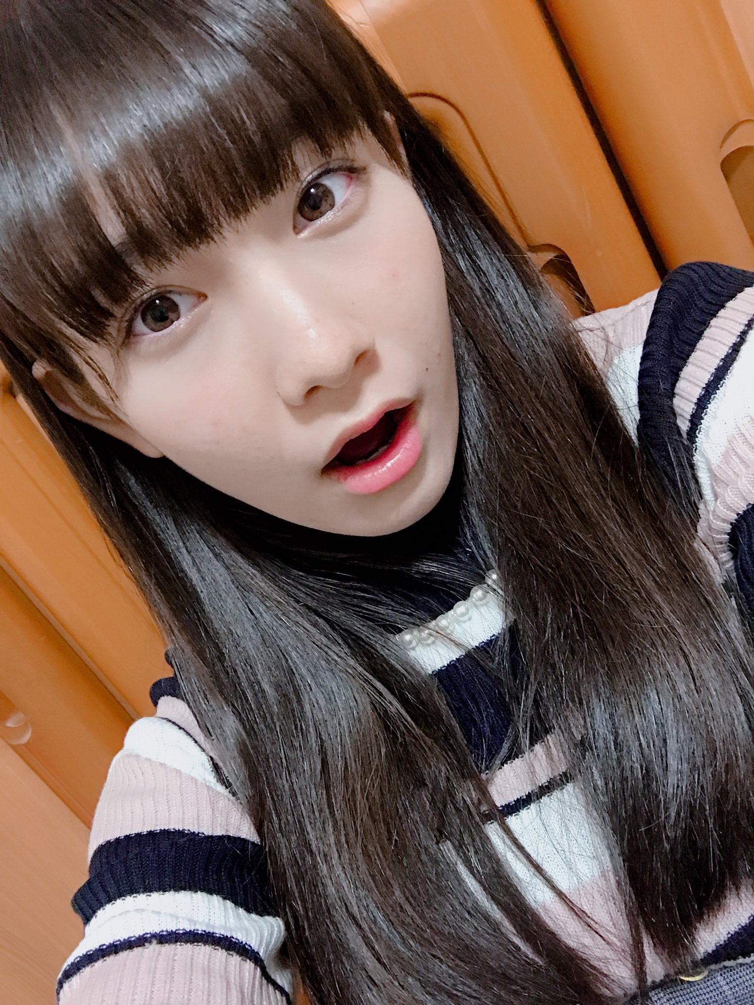 Sora Tob Sakana Official : Sora Tob Sakana | sora_tob_sakana_公式 : sora_tob_sakana