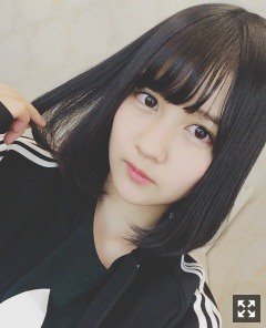 Nogizaka46 Twitter : Nogizaka46 | 乃木坂46_twitter : 乃木坂46