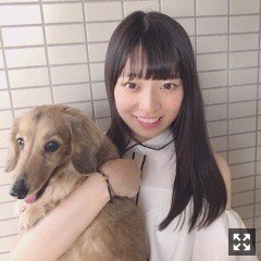 Nogizaka46 Twitter : Nogizaka46 | 乃木坂46_twitter : 乃木坂46