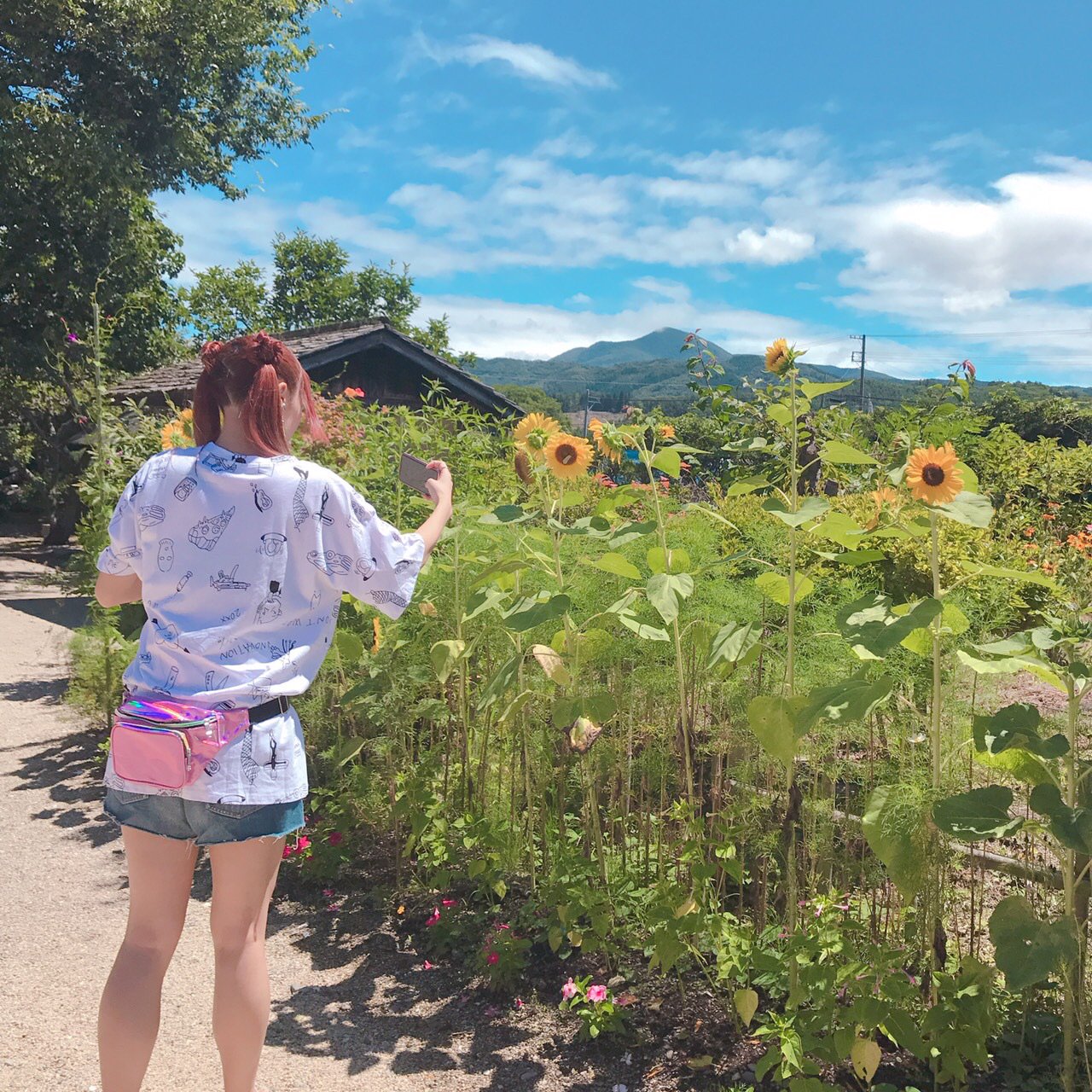 Naruse Eimi : Denpagumi.Inc | 成瀬瑛美 : でんぱ組.inc
