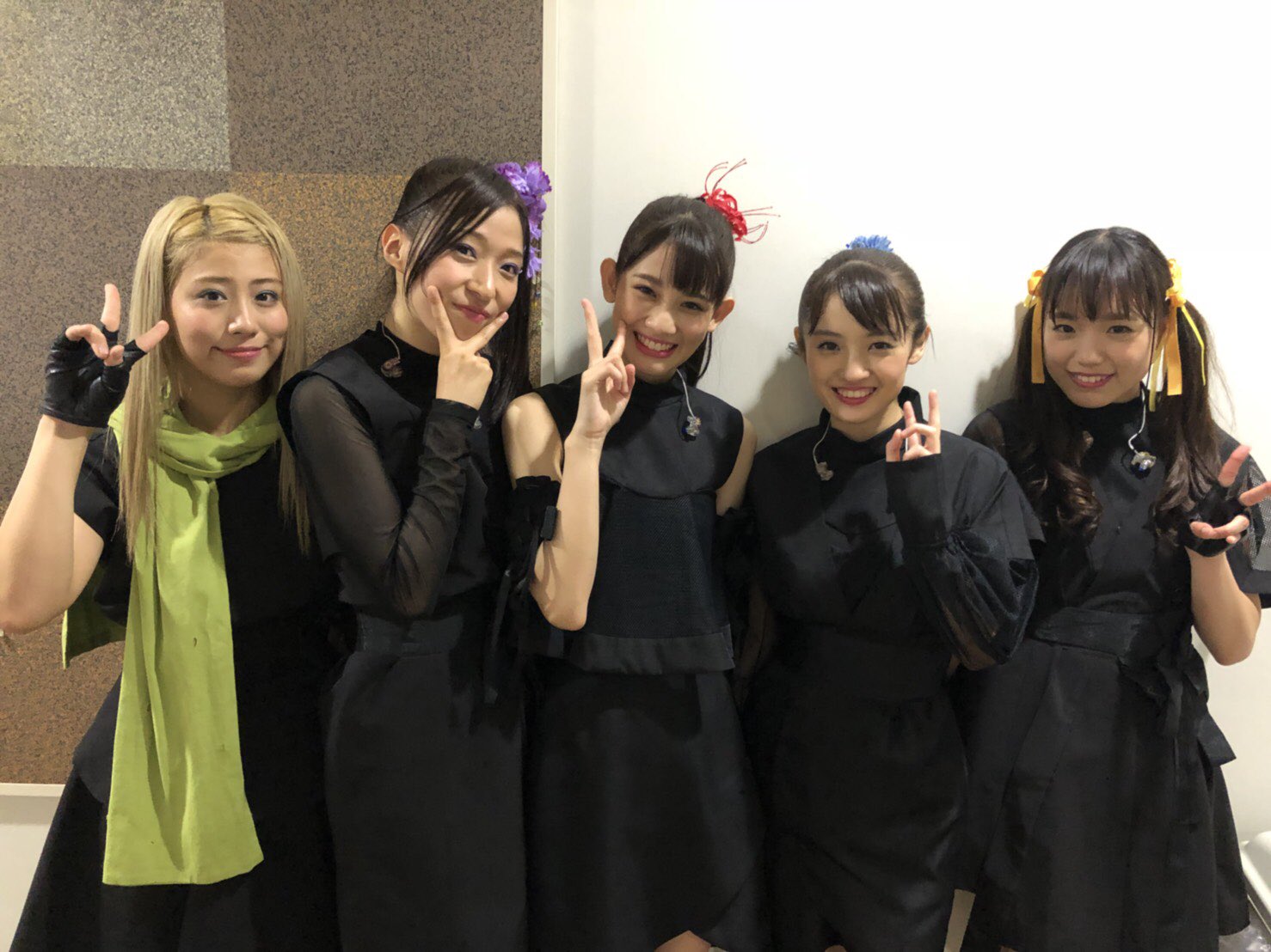 Syachihoko Staff : Team Syachihoko | しゃちほこスタッフ : チームしゃちほこ