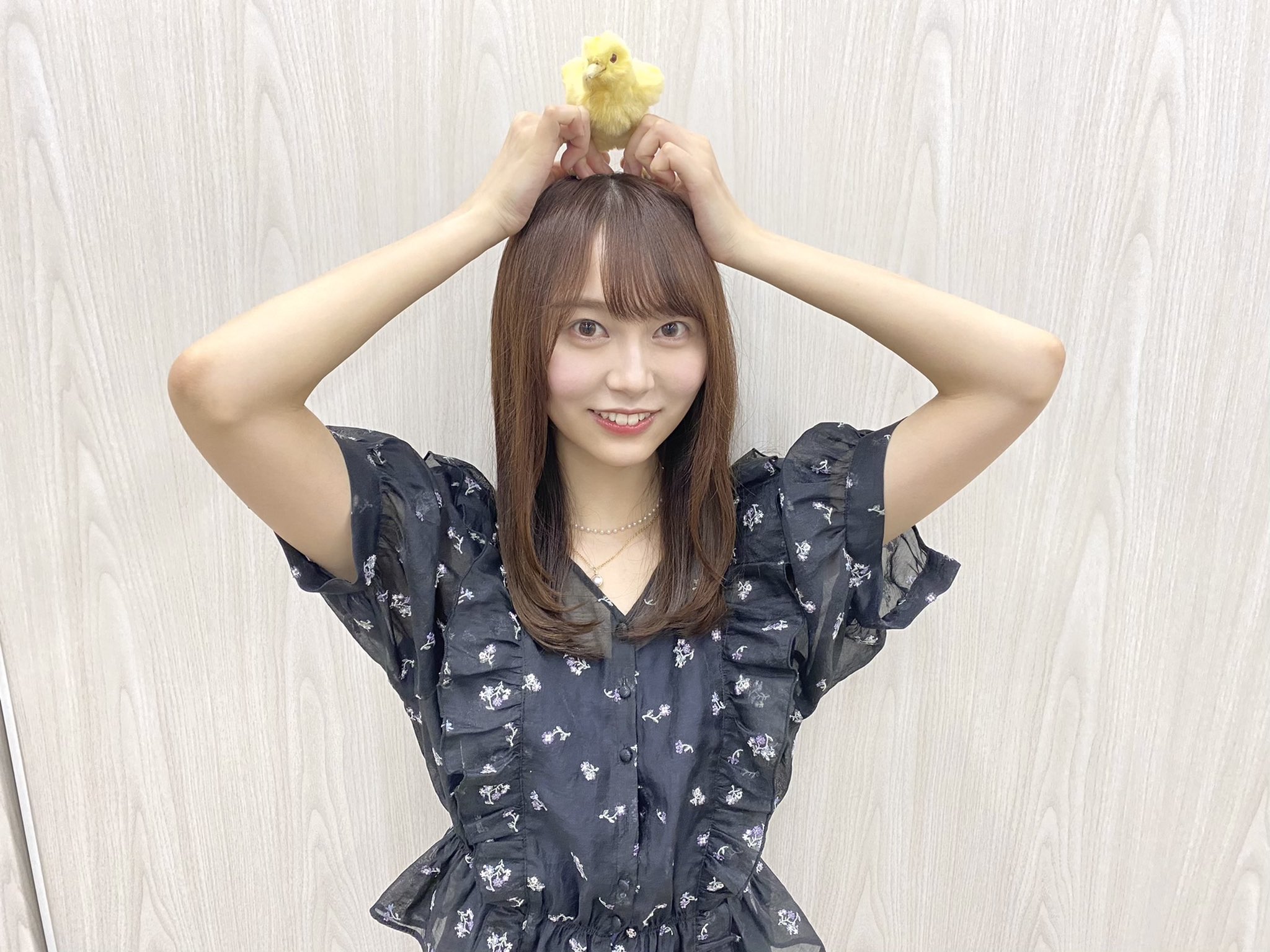 Nogizaka46 Twitter : Nogizaka46 | 乃木坂46_twitter : 乃木坂46