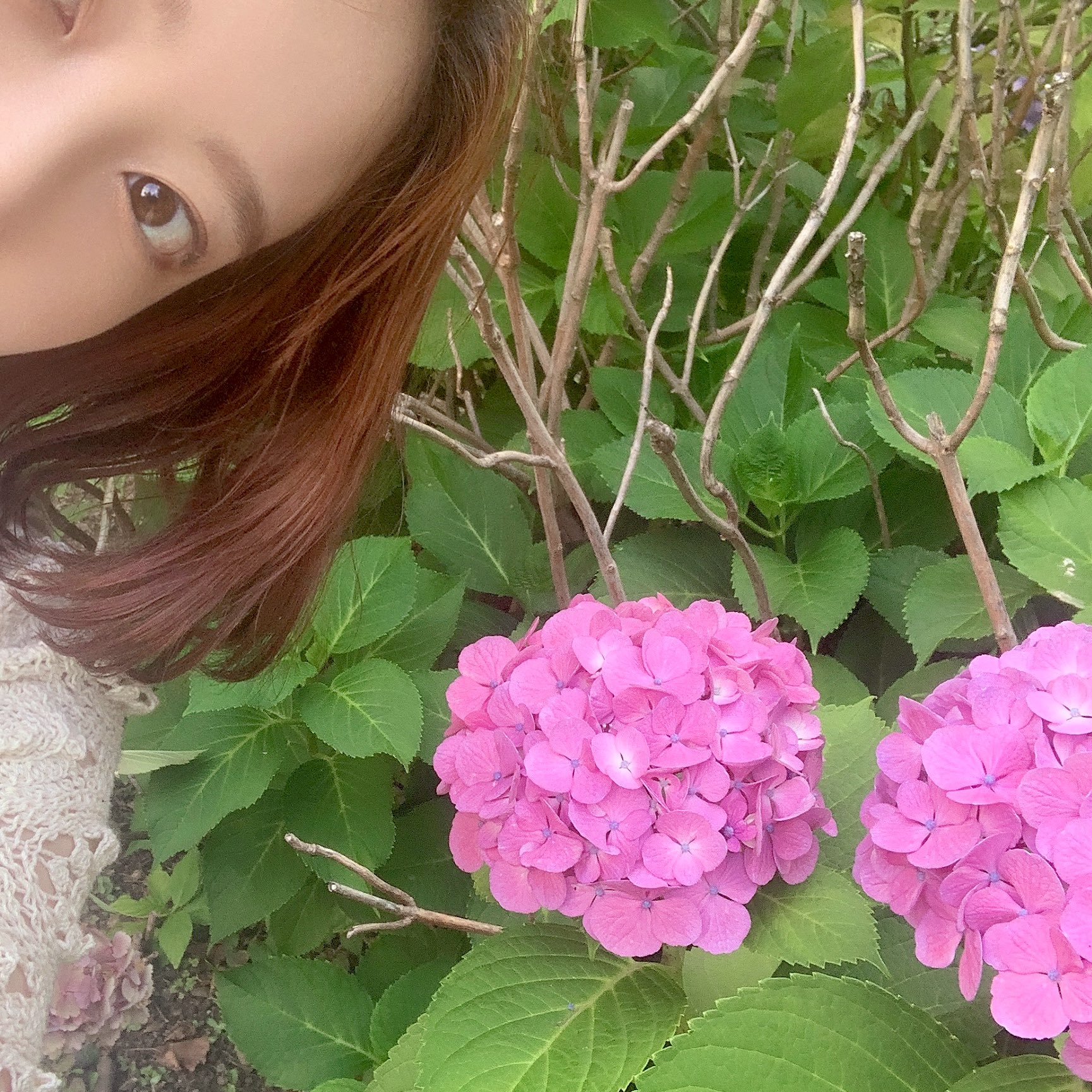 Nakano Yumi : Palet | 中野佑美 : パレット