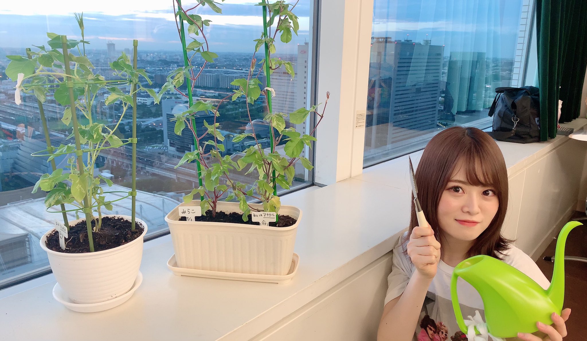 Nogizaka46 Twitter : Nogizaka46 | 乃木坂46_twitter : 乃木坂46