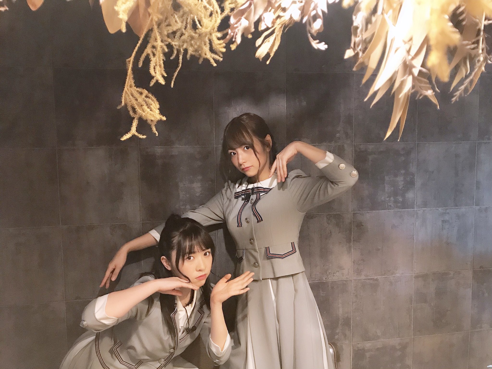 Nogizaka46 Twitter : Nogizaka46 | 乃木坂46_twitter : 乃木坂46