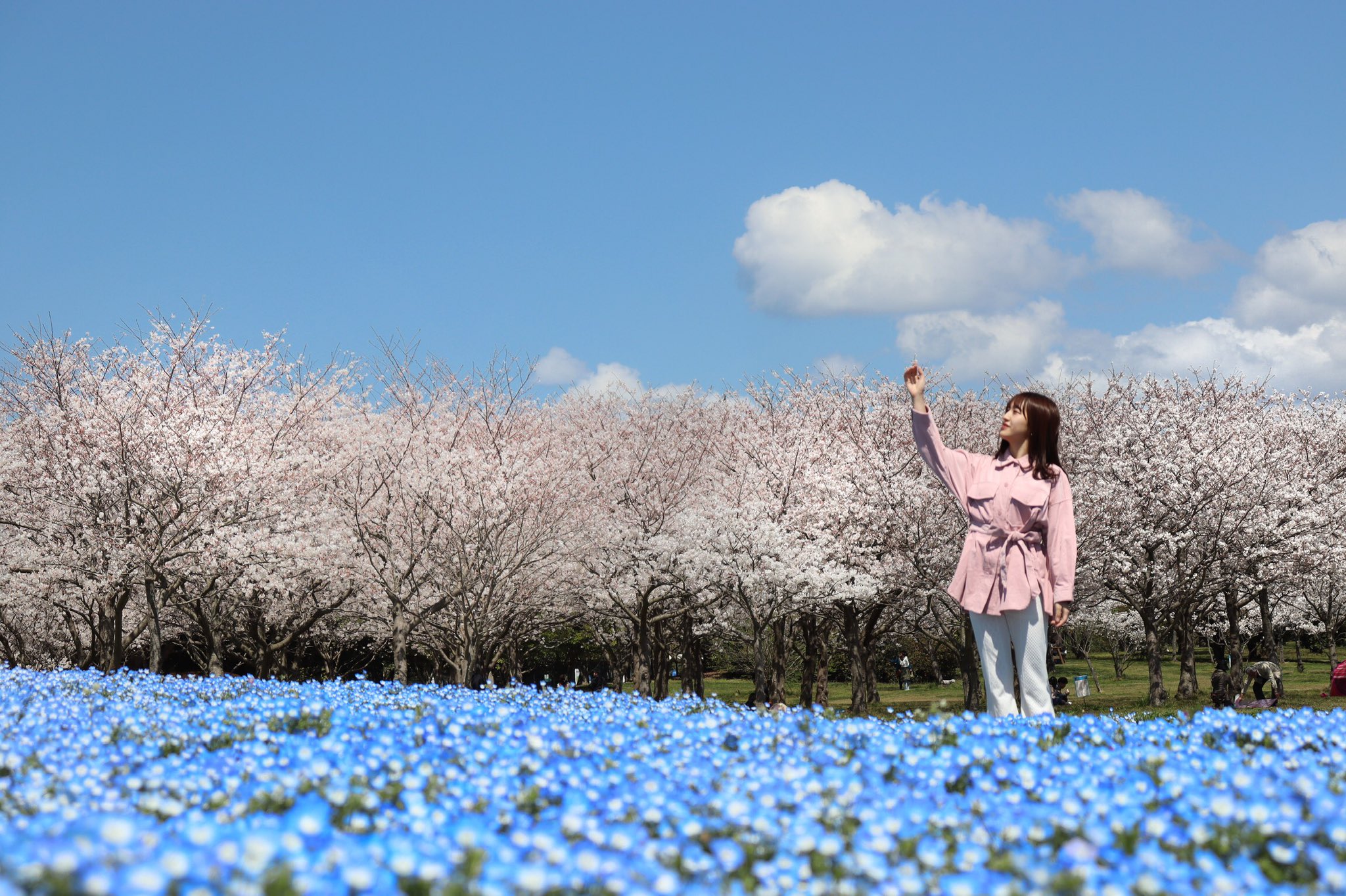 Tashima Meru : Hkt48 | 田島芽瑠 : hkt48