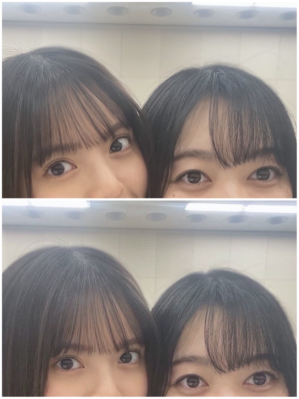 Nogizaka46 Twitter : Nogizaka46 | 乃木坂46_twitter : 乃木坂46