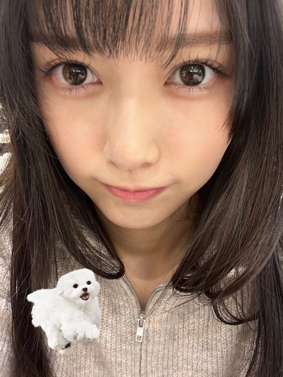 Nogizaka46 Twitter : Nogizaka46 | 乃木坂46_twitter : 乃木坂46