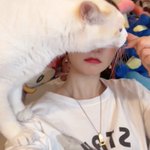 Fujisaki Ayane : Denpagumi.Inc | 藤咲彩音 : でんぱ組.inc