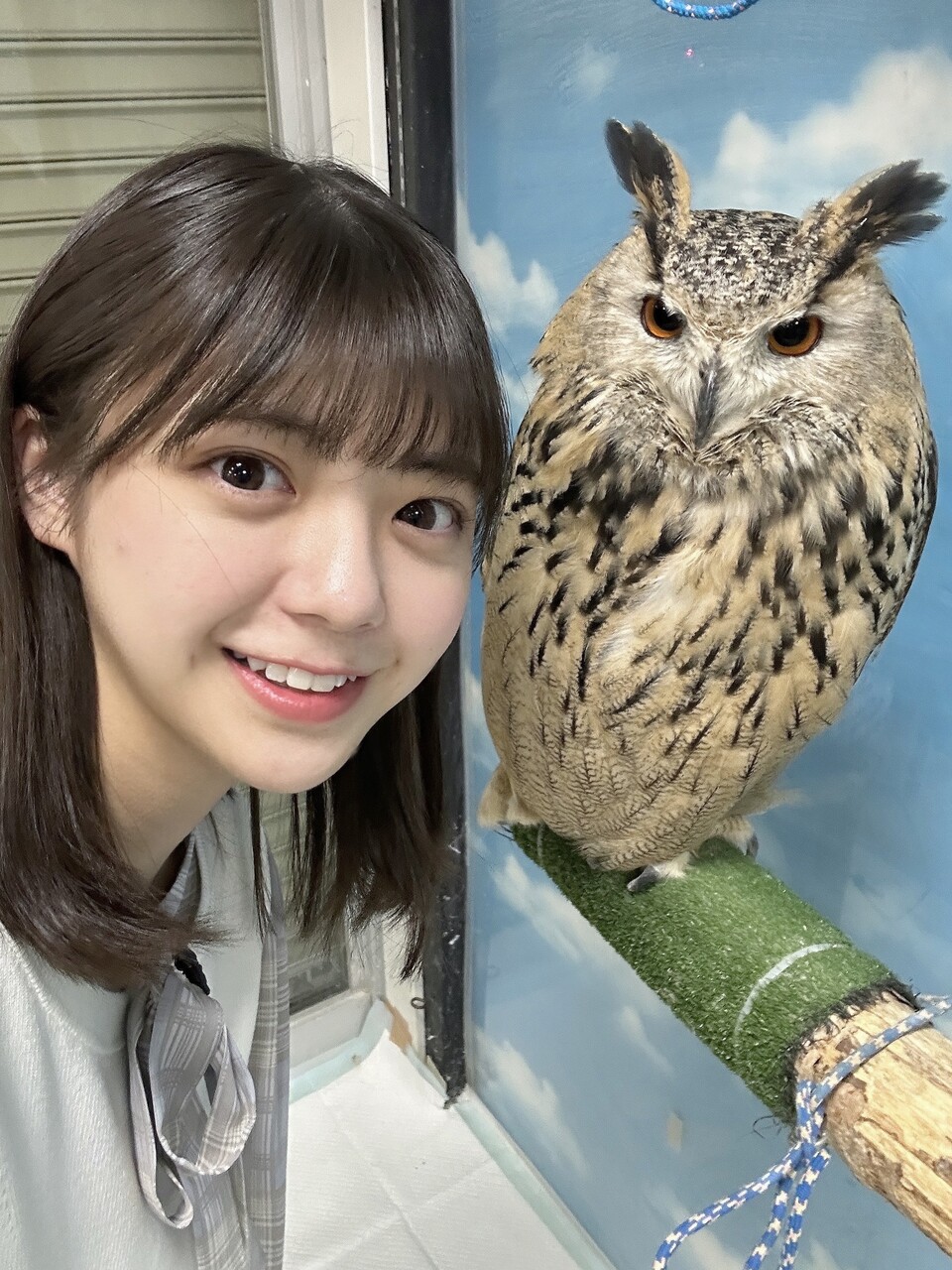 Nogizaka46 Twitter : Nogizaka46 | 乃木坂46_twitter : 乃木坂46