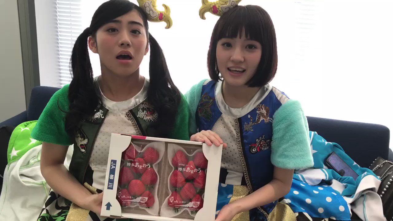 Syachihoko Staff : Team Syachihoko | しゃちほこスタッフ : チームしゃちほこ