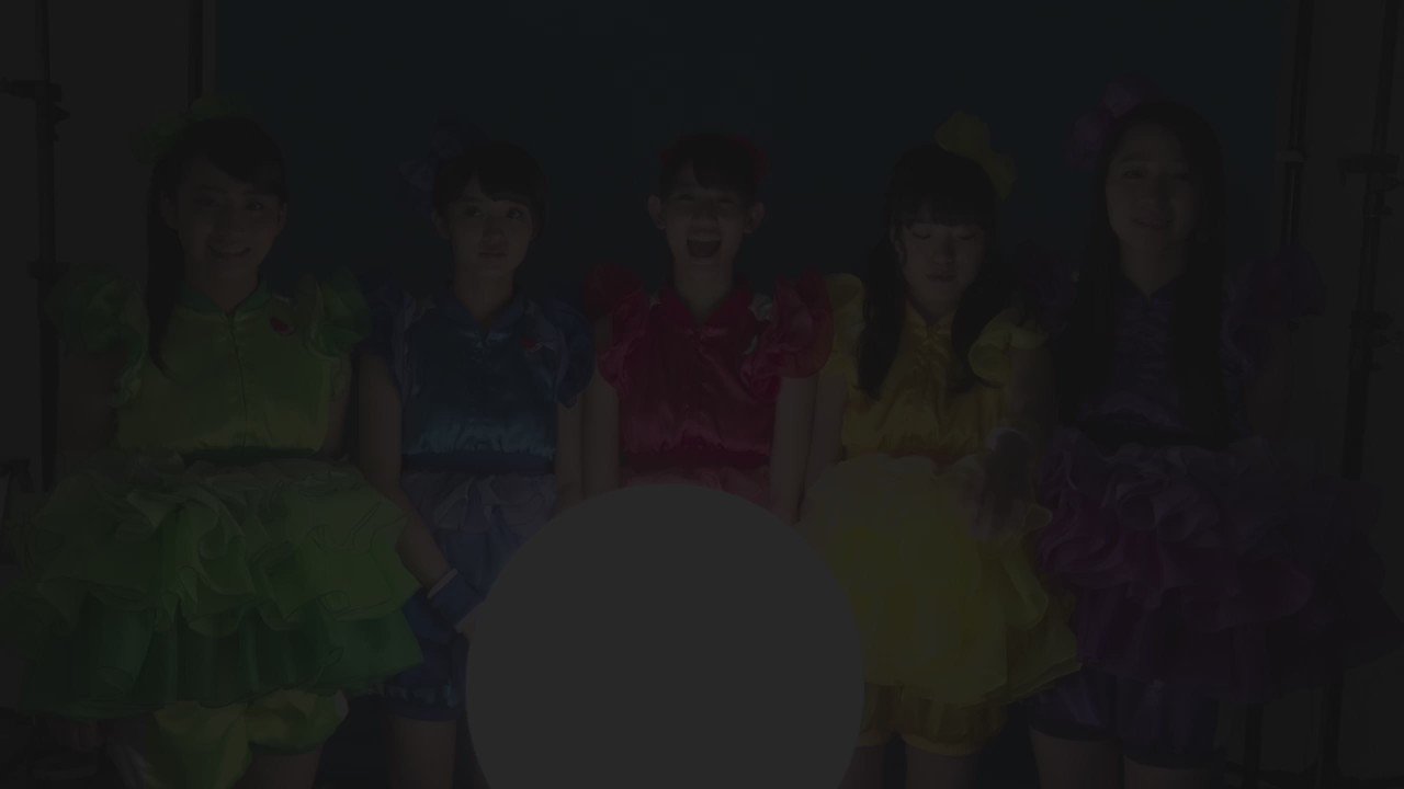 Syachihoko Staff : Team Syachihoko | しゃちほこスタッフ : チームしゃちほこ