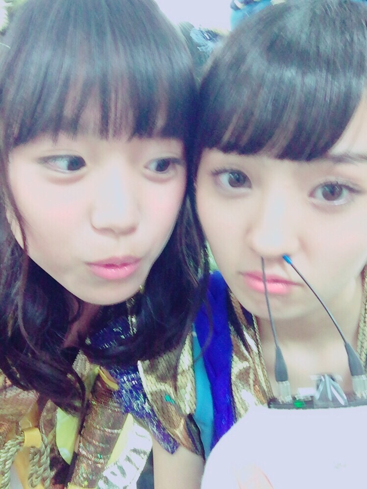 Syachihoko Staff : Team Syachihoko | しゃちほこスタッフ : チームしゃちほこ