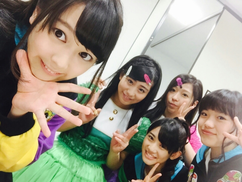 Syachihoko Staff : Team Syachihoko | しゃちほこスタッフ : チームしゃちほこ