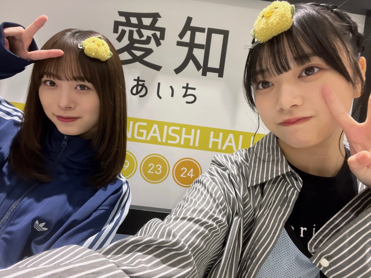 Yamaguchi Haruyo : Hinatazaka46 | 山口陽世 : 日向坂46