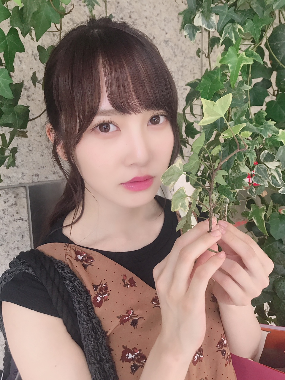 Katou Shiho : Keyakizaka46 | 加藤史帆 : 欅坂46