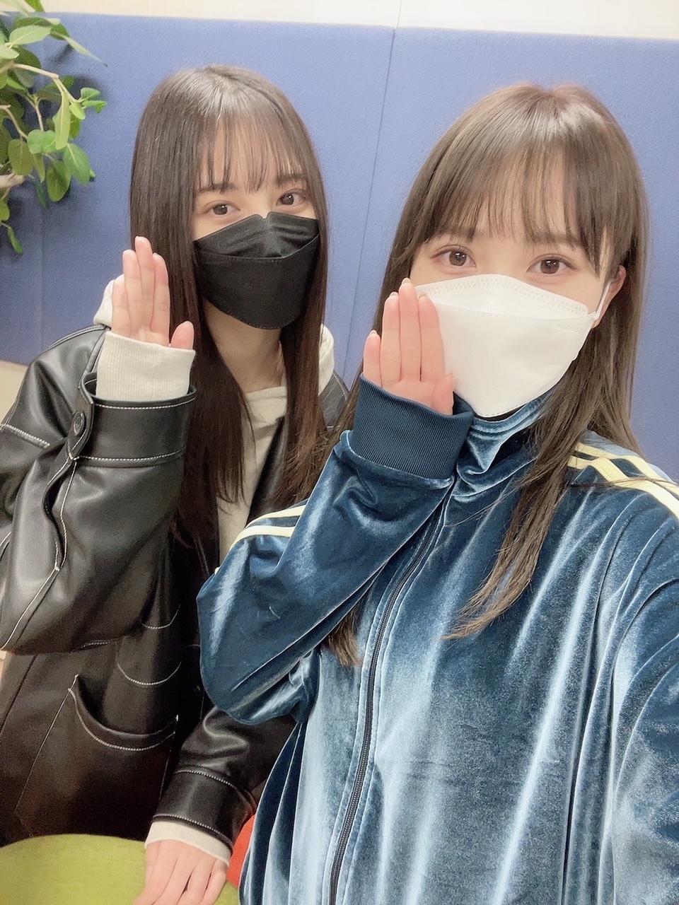 Katou Shiho : Hinatazaka46 | 加藤史帆 : 日向坂46