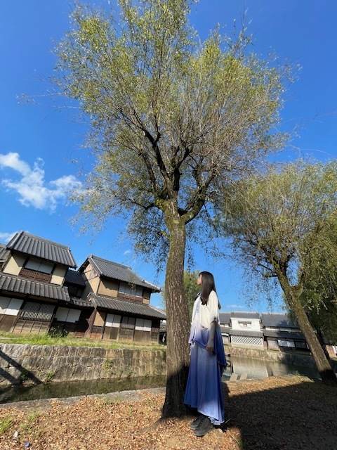 Yamaguchi Haruyo : Hinatazaka46 | 山口陽世 : 日向坂46