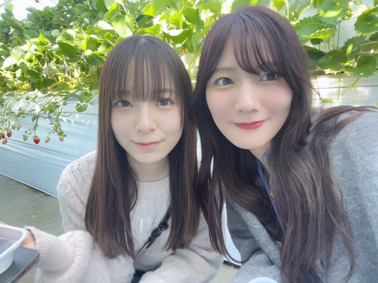 Kawata Hina : Hinatazaka46 | 河田陽菜 : 日向坂46